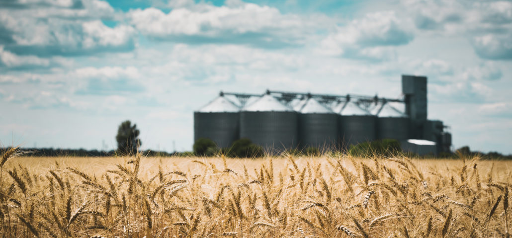 new grain elevator on the background of a wheat field”n chemicals